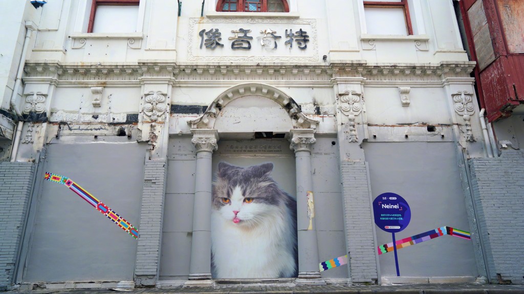 貓咪壁牆該老街重新加添活力。(微博)