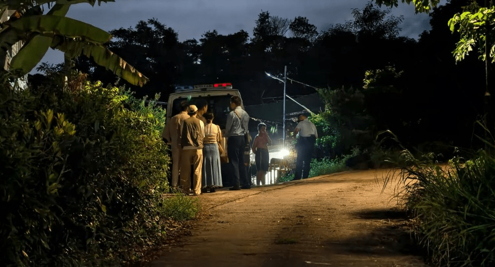早前打鼓嶺狗咬死人事件引起全城關注。 早前打鼓嶺狗咬死人事件引起全城關注。