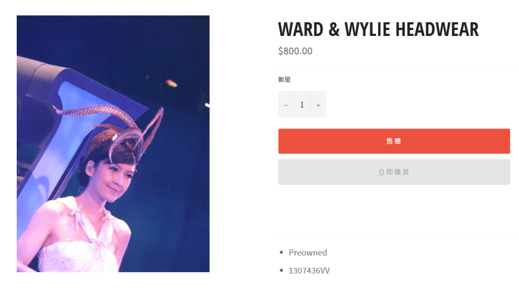 演唱會戴的WARD & WYLIE頭飾，售價800元。