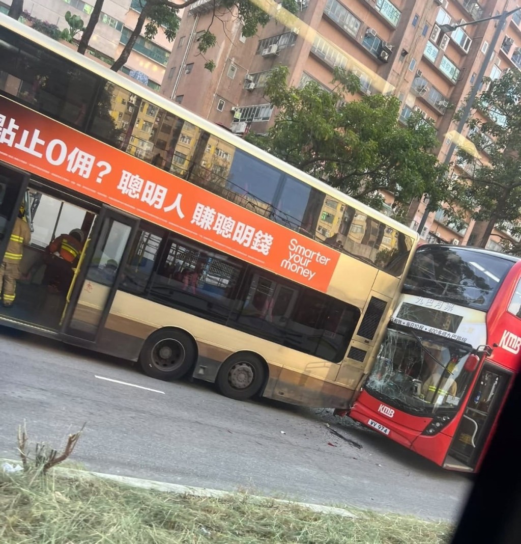 網上圖片 網上圖片