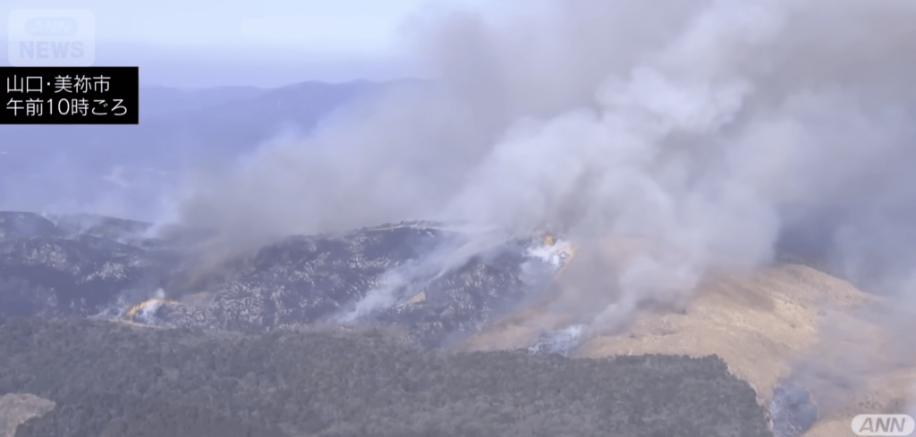 日本山口縣美禰市著名景點秋吉台日前舉行年度燒山活動期間發生致命意外。ANN NEWS 日本山口縣美禰市著名景點秋吉台日前舉行年度燒山活動期間發生致命意外。ANN NEWS