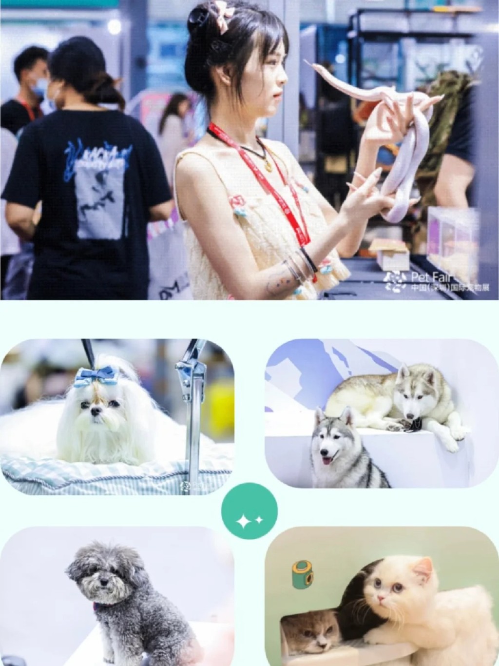 2023年深圳寵物展盛況（圖片來源：小紅書@深圳寵物展）