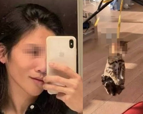 蔡姓留學生幫朋友照顧豹貓期間,用極殘忍的手法將其虐待至死。(網圖)