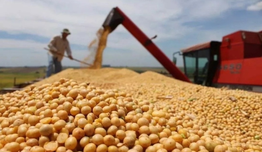 麦卡利希望中国按协议采购美农产品。路透社