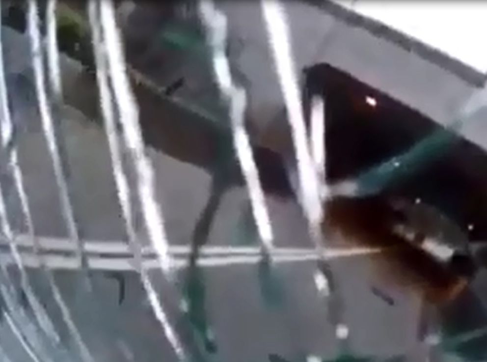 保母車被撞至擋風玻璃破裂。影片截圖