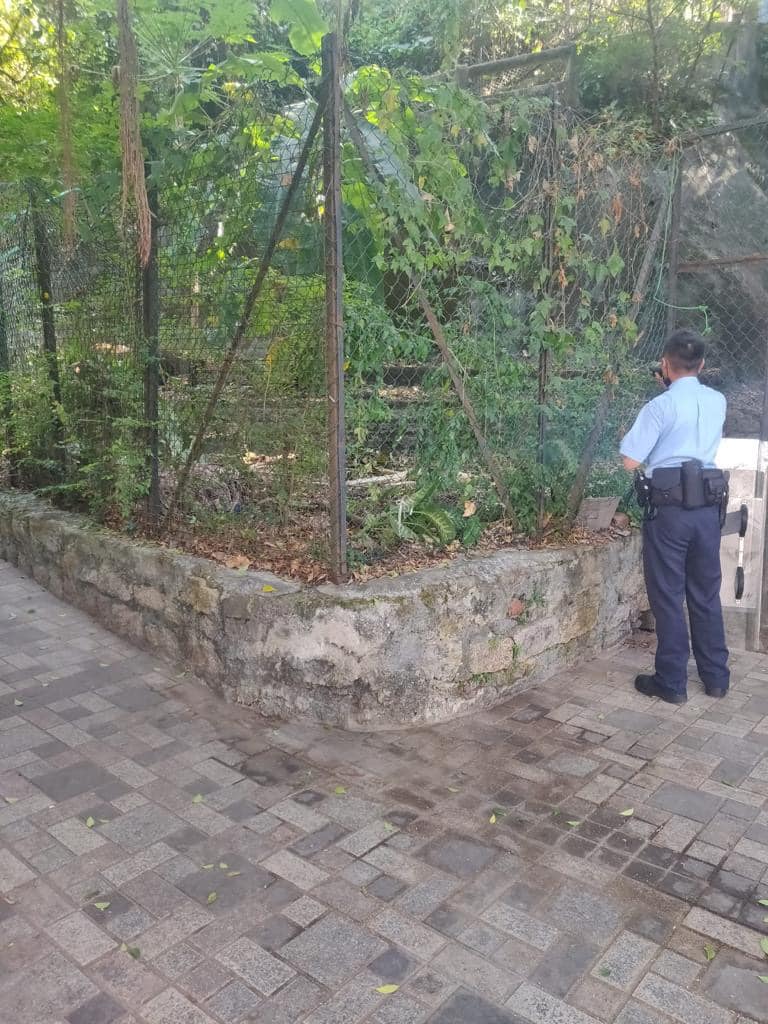 警方到場觀察。香港野豬關注組fb