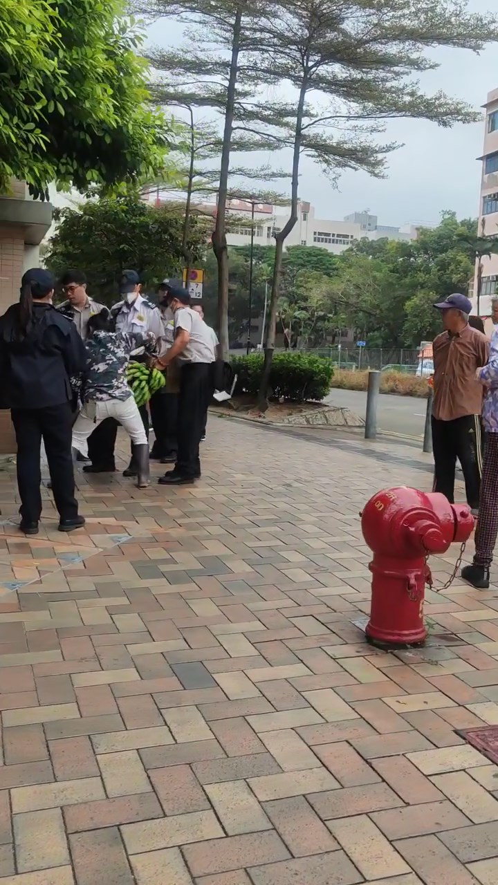 数名食环署职员与一名中年女档主在街头位置拉扯一梳香蕉。网上片段截图