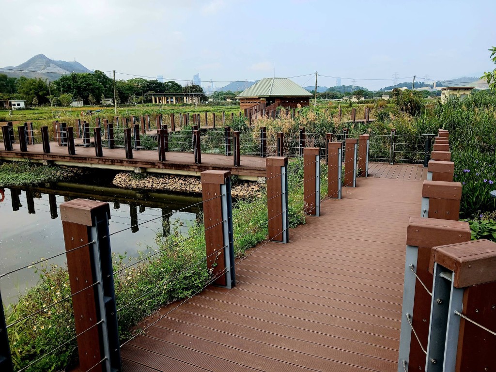 6月底將舉行夜遊塱原活動，尋找公園活躍於夏日晚間的住客。（圖片來源：、漁農自然護理署 ）