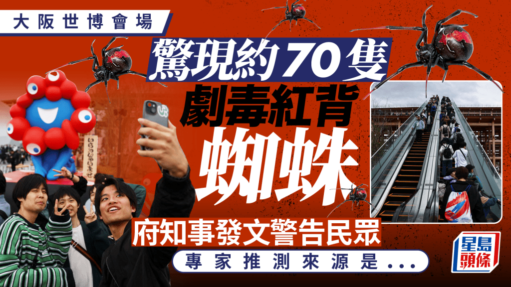 大阪世博︱會場驚現劇毒紅背蜘蛛   府知事發文提醒民眾