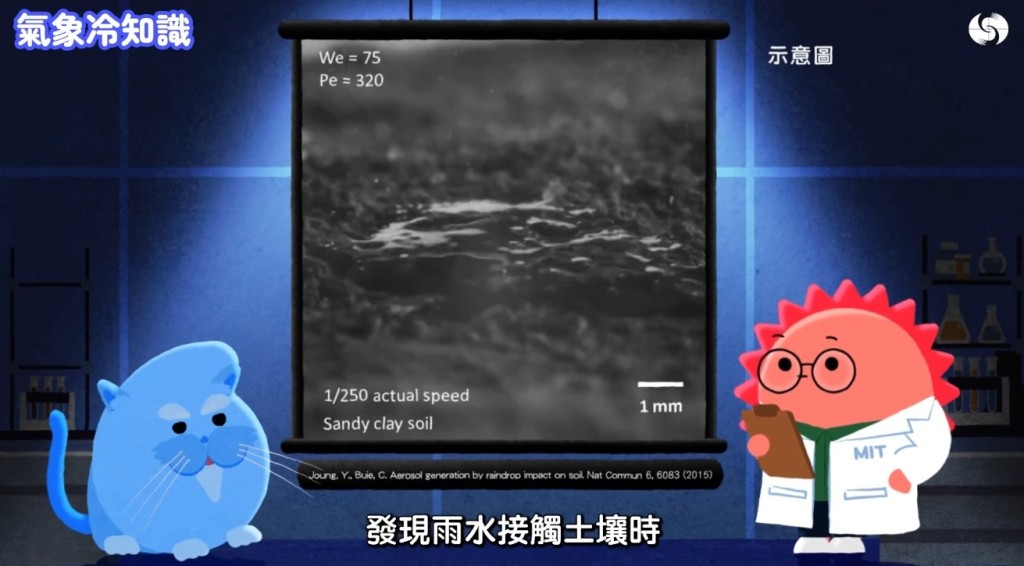 香港天文台《氣象冷知識》「汪汪夢裏聞:下雨的味道」截圖。 香港天文台《氣象冷知識》「汪汪夢裏聞:下雨的味道」截圖。