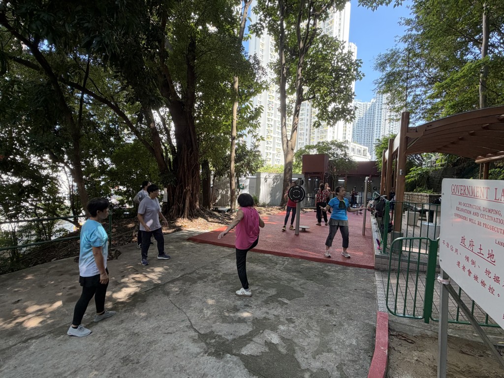 巴域街休憩處，十多名街坊在場體驗。
