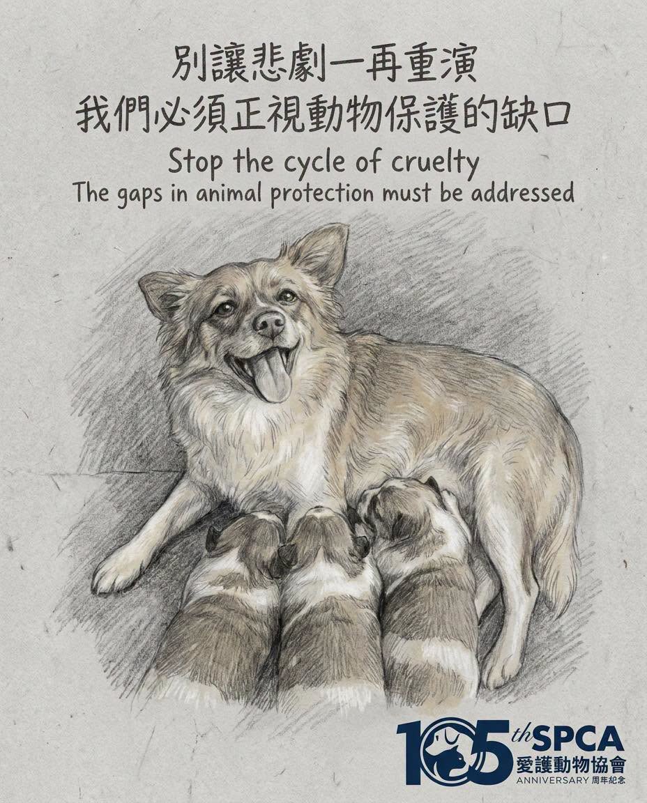 香港愛護動物協會表示,對揭陽虐狗事件深感痛心與憤怒。FB:愛協 香港愛護動物協會表示,對揭陽虐狗事件深感痛心與憤怒。FB:愛協
