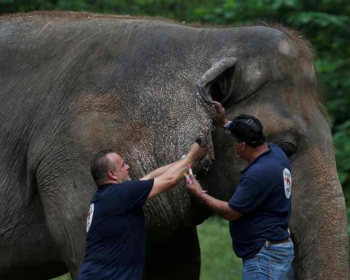 卡萬被折磨超過35年後終可展開新生活。AP