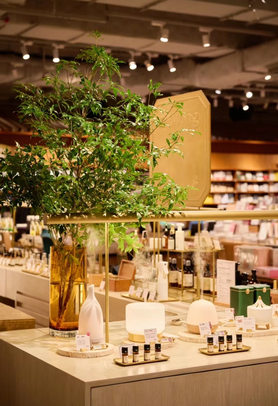 廣州文青打卡2024｜3. 方所書店 書香之外，也有植物香氣，Dr. Wong香氛店隱藏在書店一角。（圖片來源：小紅書）