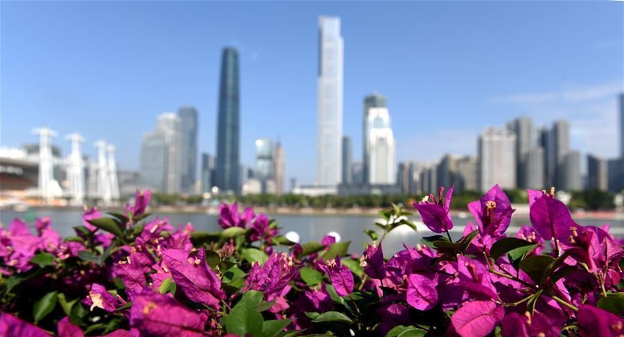 今年跨年夜熱門目的地TOP10之一：廣州。 新華社