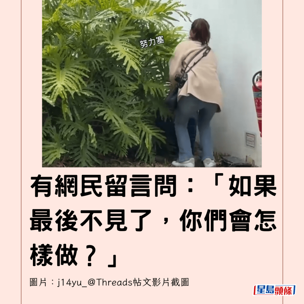  有網民留言問：「如果最後不見了，你們會怎樣做？」