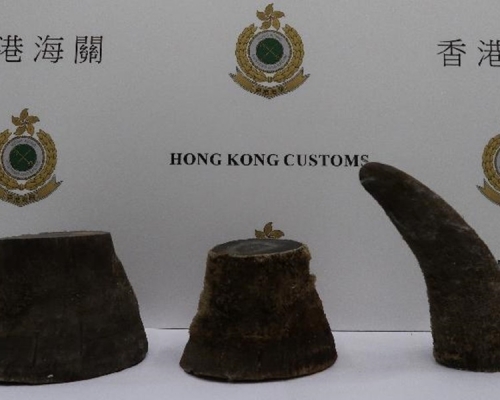 海關檢獲約2.5公斤懷疑犀牛角。圖:政府新聞處