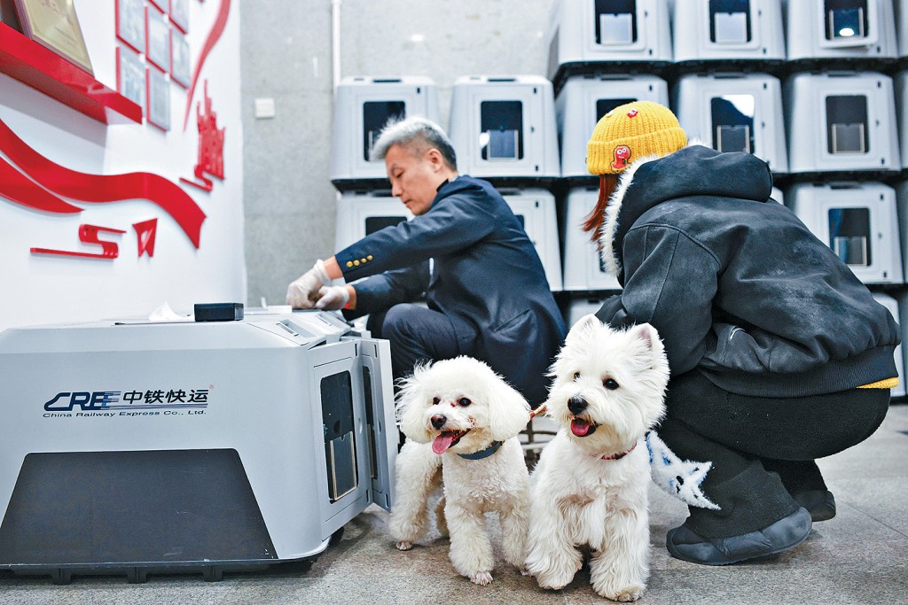 主人帶着兩隻寵物狗在北京西站辦理託運。