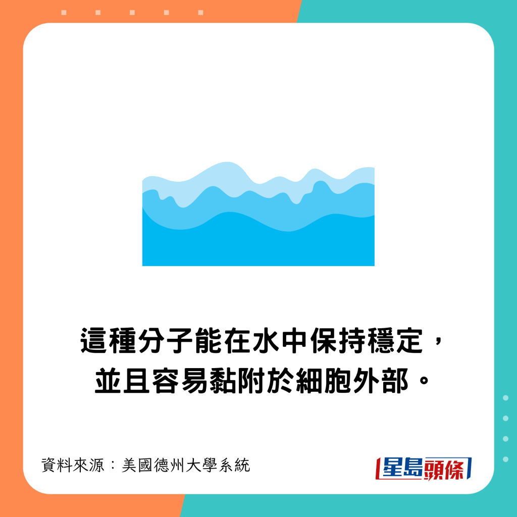能在水中保持穩定,並且容易黏附於細胞外部