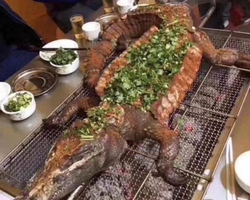 該燒烤店會將整隻鱷魚放在炭爐上烤。網圖
