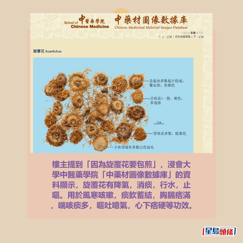 樓主提到「因為旋覆花要包煎」,浸會大 學中醫藥學院「中藥材圖像數據庫」的資 料顯示,旋覆花有降氣,消痰,行水,止 嘔。用於風寒咳嗽,痰飲蓄結,胸膈痞滿 ,喘咳痰多,嘔吐噫氣,心下痞硬等功效。Threads截圖和浸會大學中醫藥學院「中藥材圖像數據庫」截圖 樓主提到「因為旋覆花要包煎」,浸會大 學中醫藥學院「中藥材圖像數據庫」的資 料顯示,旋覆花有降氣,消痰,行水,止 嘔。用於風寒咳嗽,痰飲蓄結,胸膈痞滿 ,喘咳痰多,嘔吐噫氣,心下痞硬等功效。Threads截圖和浸會大學中醫藥學院「中藥材圖像數據庫」截圖