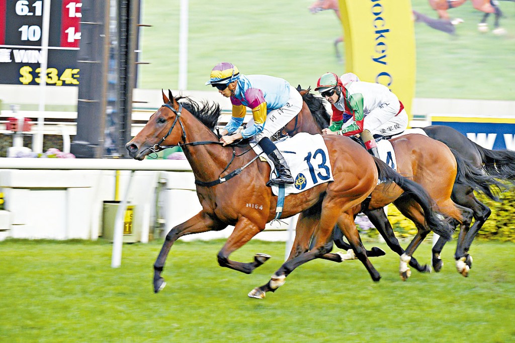 「神虎龍駒」唞夠出戰今仗，對於細馬而言相當有利。 