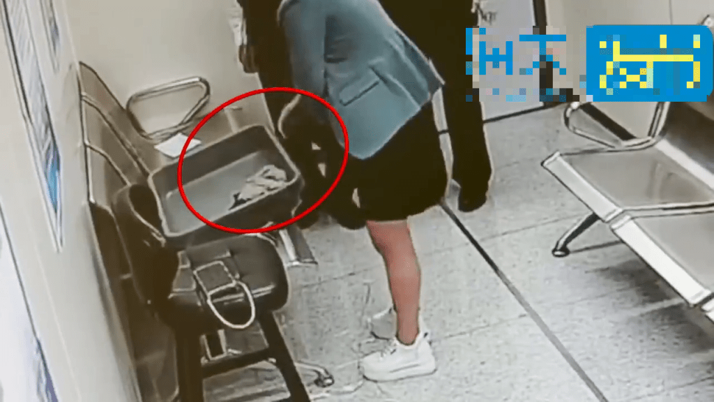 女客打底褲夾層拿出大量活龜。 海關發布 女客打底褲夾層拿出大量活龜。 海關發布