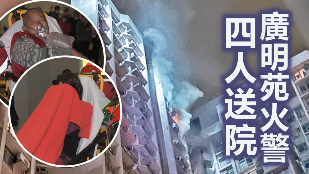 大圖為網圖