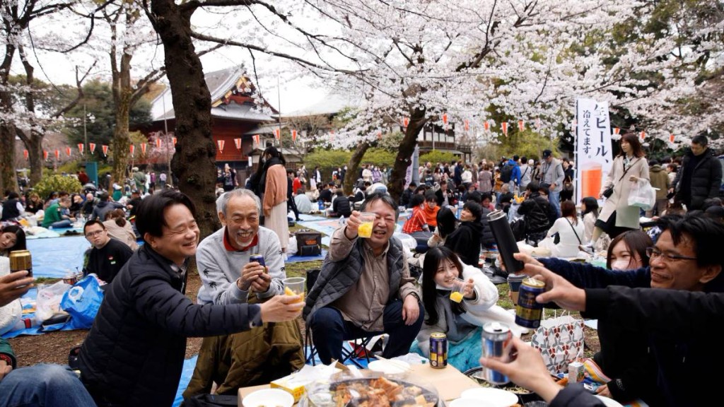 日本每年的櫻花季節，也吸引大量當地人及外國遊客觀賞。路透社