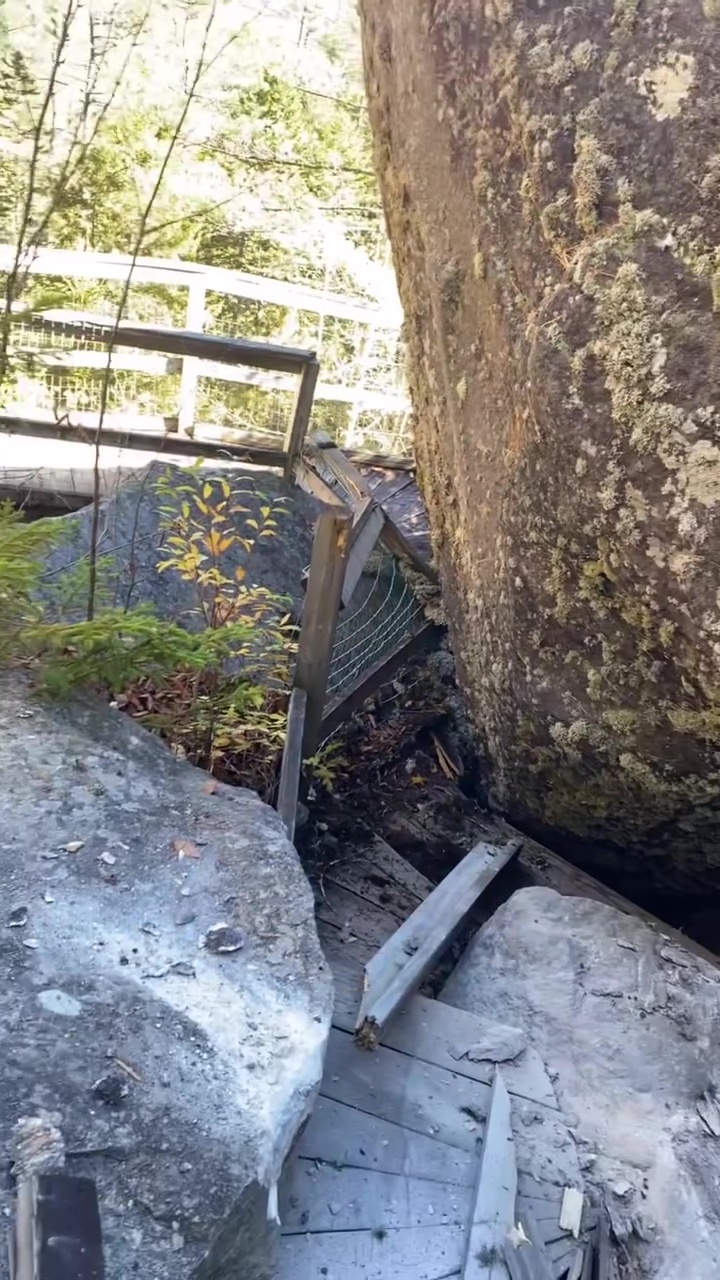 网片显示“神秘悬石”坠落直插木制观光栈道。Wild Fern and Field FB 网片显示“神秘悬石”坠落直插木制观光栈道。Wild Fern and Field FB