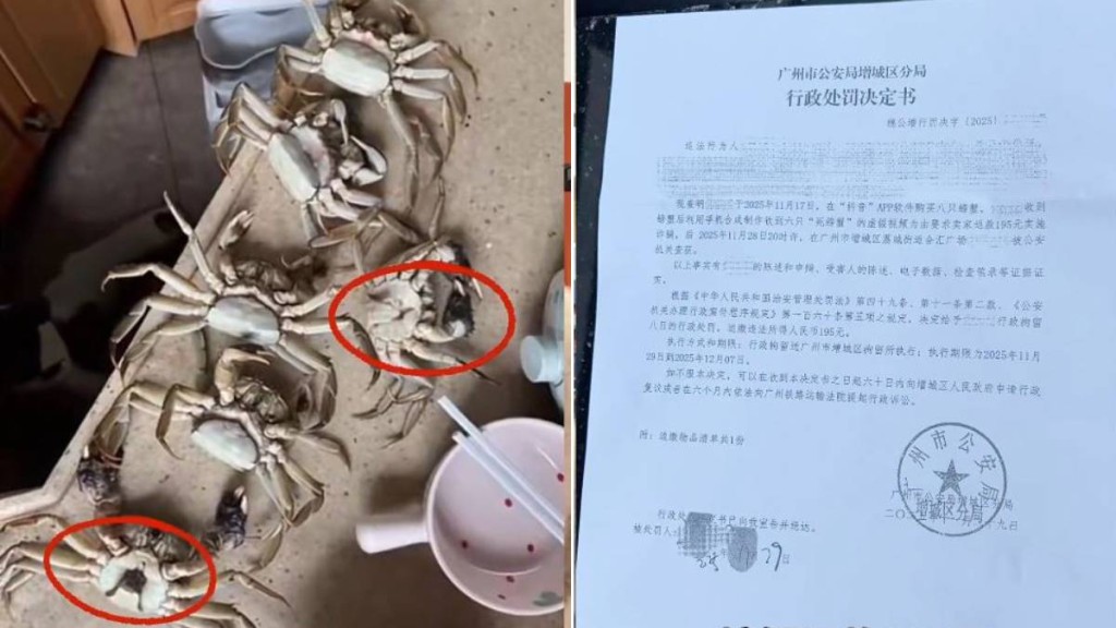 廣州增城有買家用AI合成照訛稱大閘蟹買8死6，經「僅退款」騙去¥195。抖音