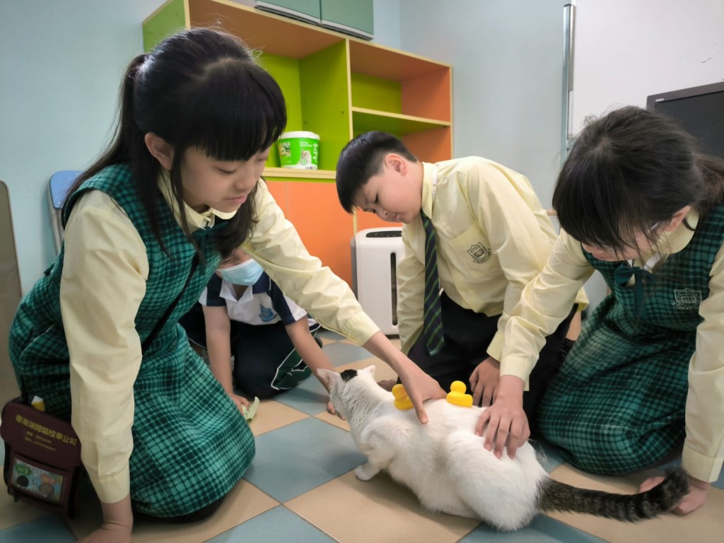 學生與貓咪互動，非常有愛。