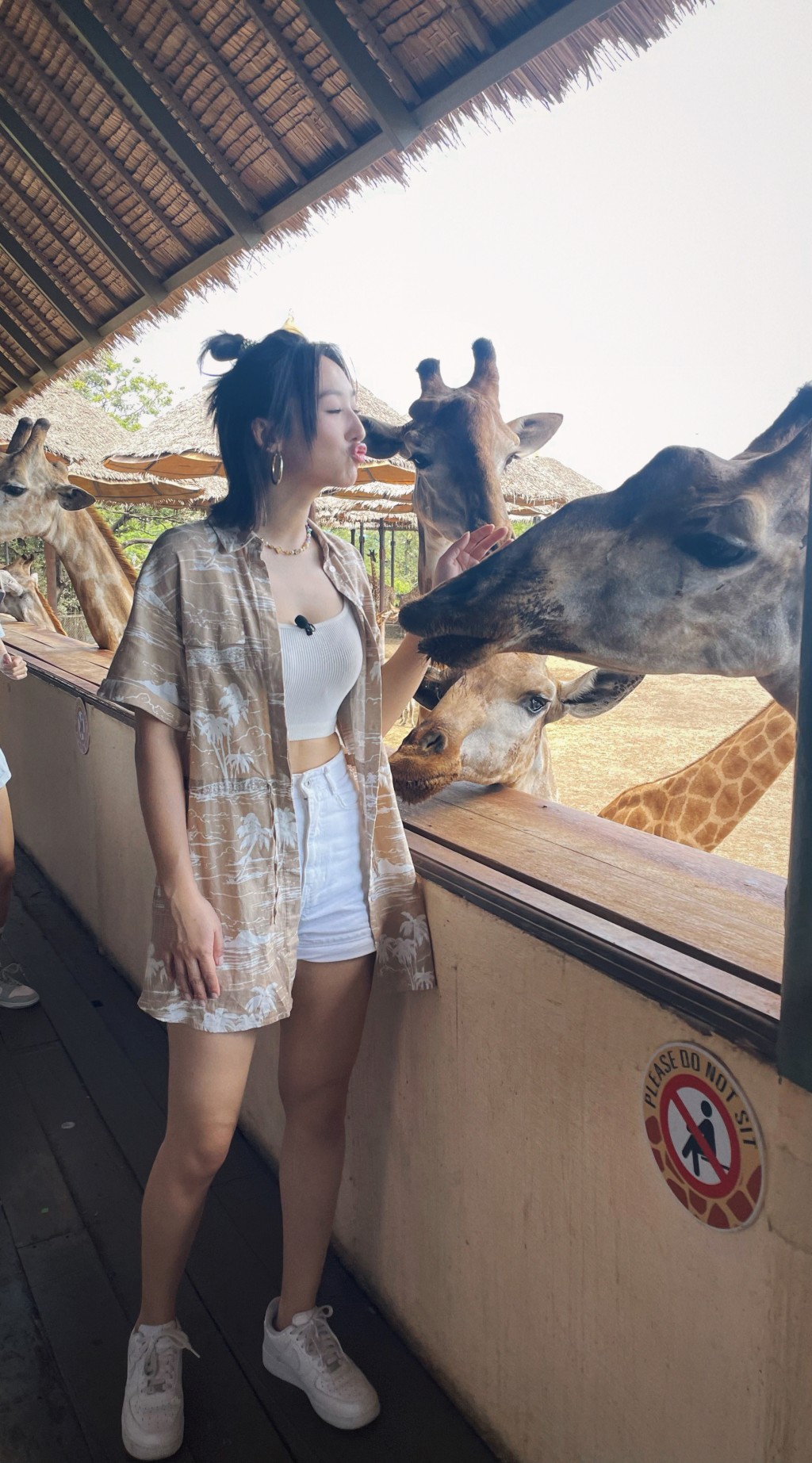 高 Ling 大讚曼谷 Safari World 的長頸鹿平易近人。