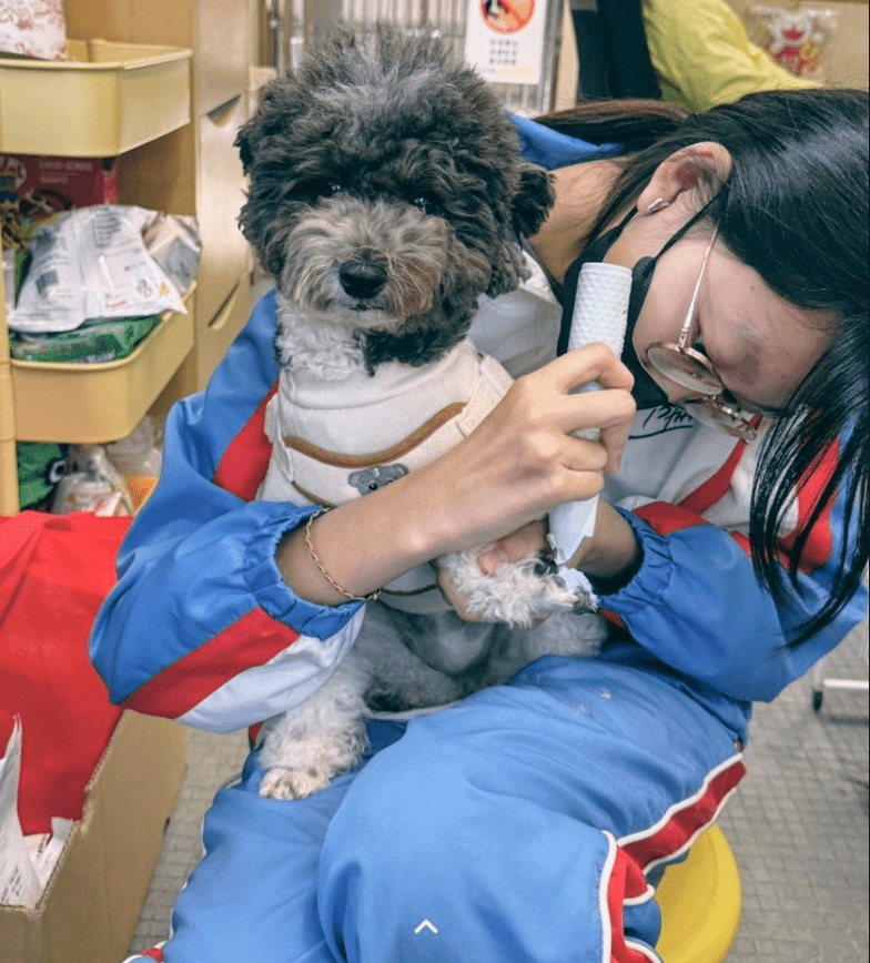 學生在寵愛閣照顧犬隻。