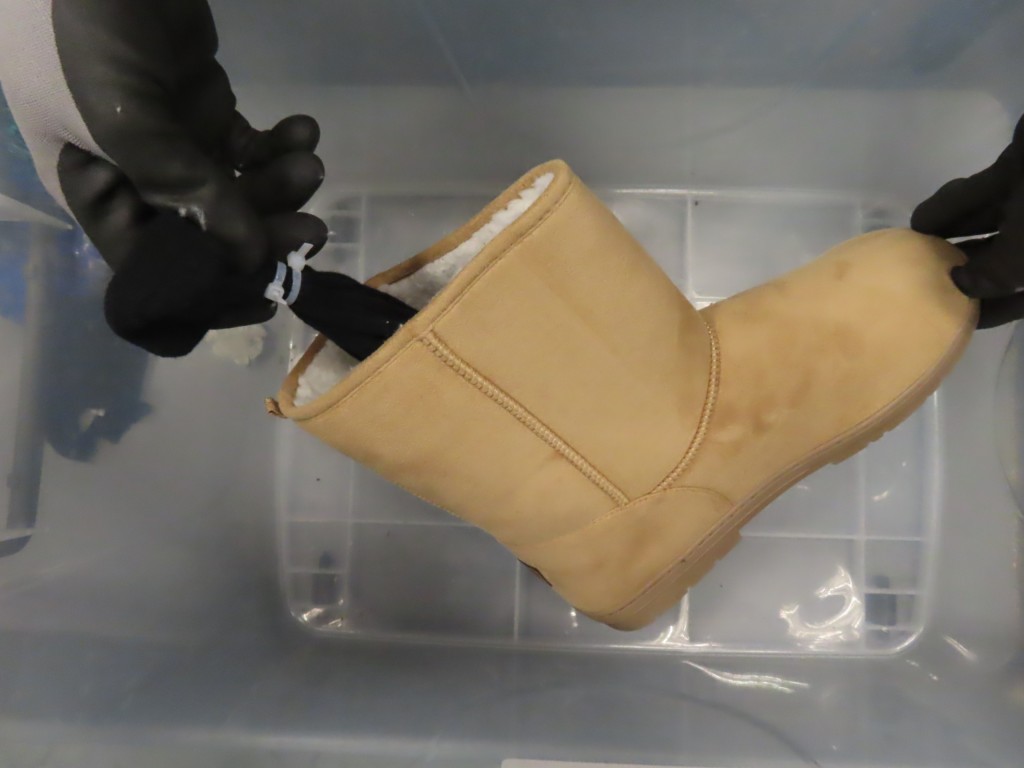 其中一隻檢獲的懷疑受管制屬瀕危物種的活蜥蜴被襪包裹及藏於靴子內。