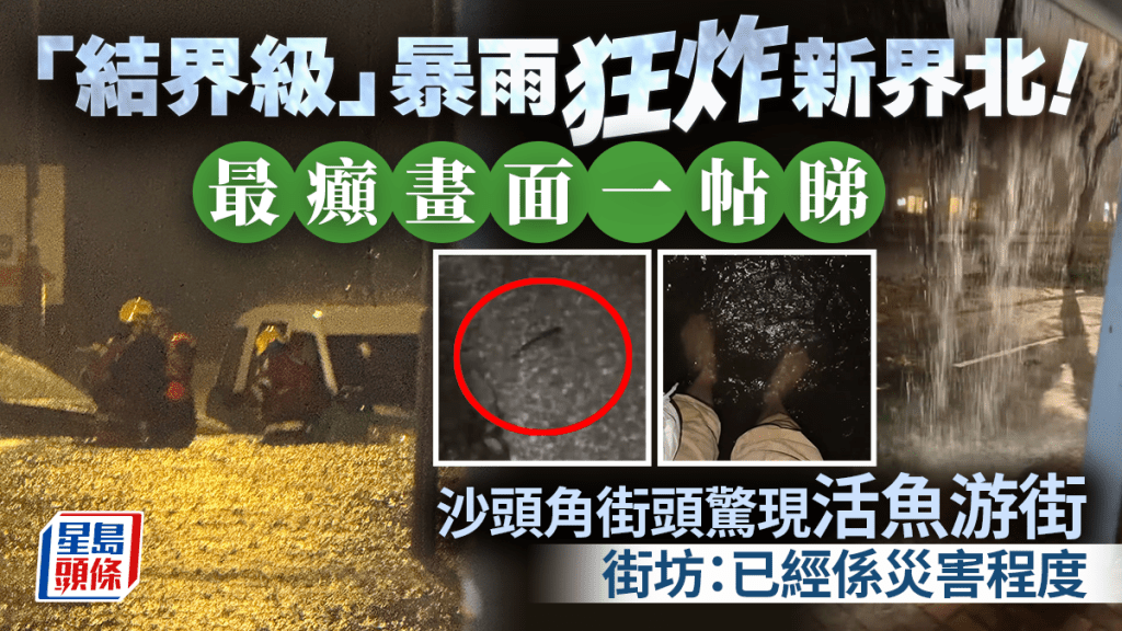 「結界級」暴雨狂炸新界北！最癲畫面一帖睇：沙頭角街頭驚現活魚游街 街坊：已經係災害程度｜Juicy叮