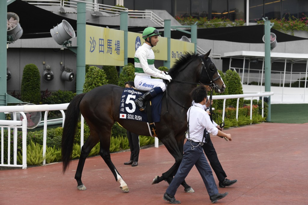 今次將是雷神第三度夥拍該駒出賽，他第一次策騎該駒，是在去年十一月的冠軍一哩賽得第二，接着在香港一哩錦標 (圖) 跑第四。