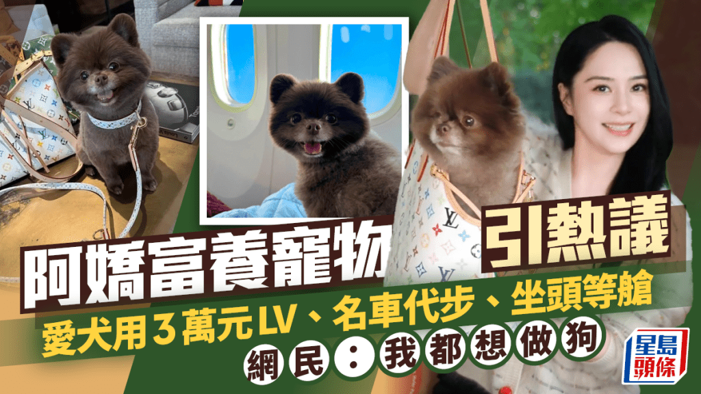 阿嬌鍾欣潼富養寵物  愛犬用3萬元LV、名車代步、坐頭等艙  網民羨慕：我都想做狗