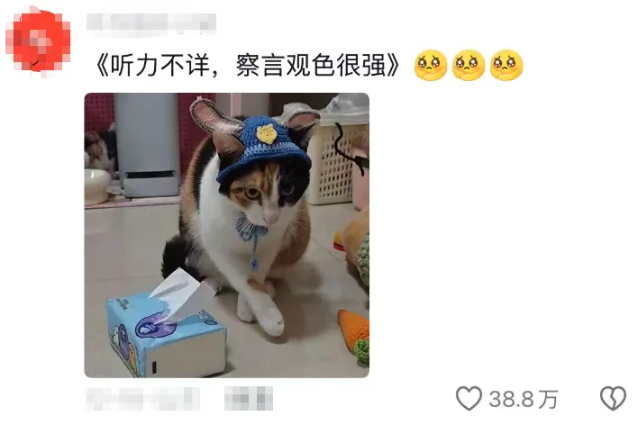 三色貓在網上爆紅。