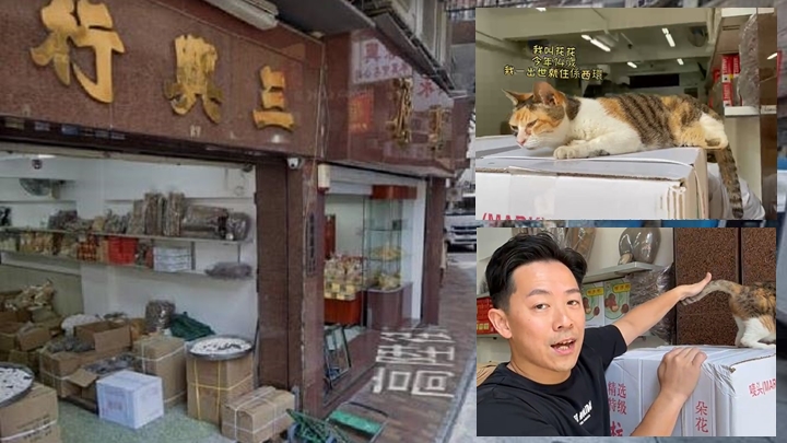 西環藥材行店貓「花花」被偷走後平安回家,店主感謝警方破案。
