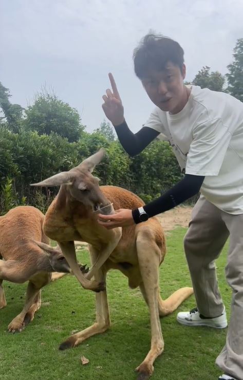 有遊客在網上發文，稱在上海野生動物園袋鼠打傷。示意圖