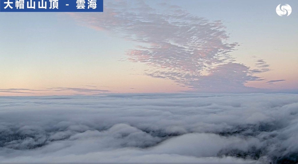 大帽山頂出現雲海美景。天文台FB截圖