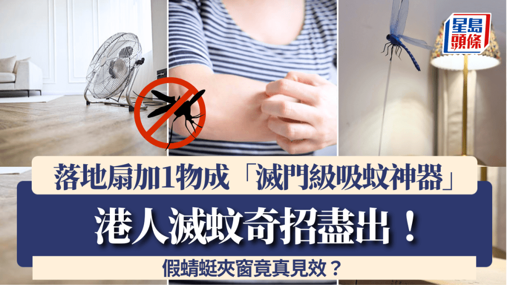 港人滅蚊奇招盡出！網民發明落地扇加1物成「滅門級吸蚊神器」 假蜻蜓夾窗竟真見效？