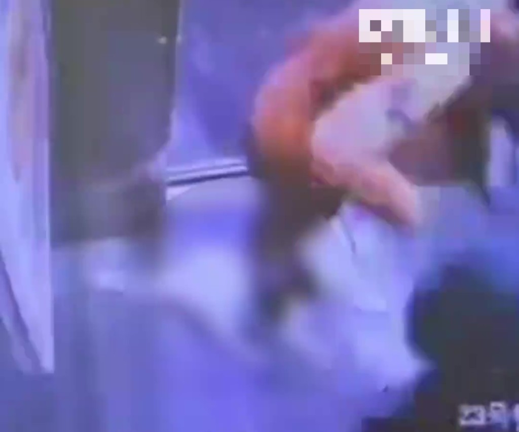 河南冷血母子升降机接力狂踩流浪猫致死，闭路电视揭恶行。