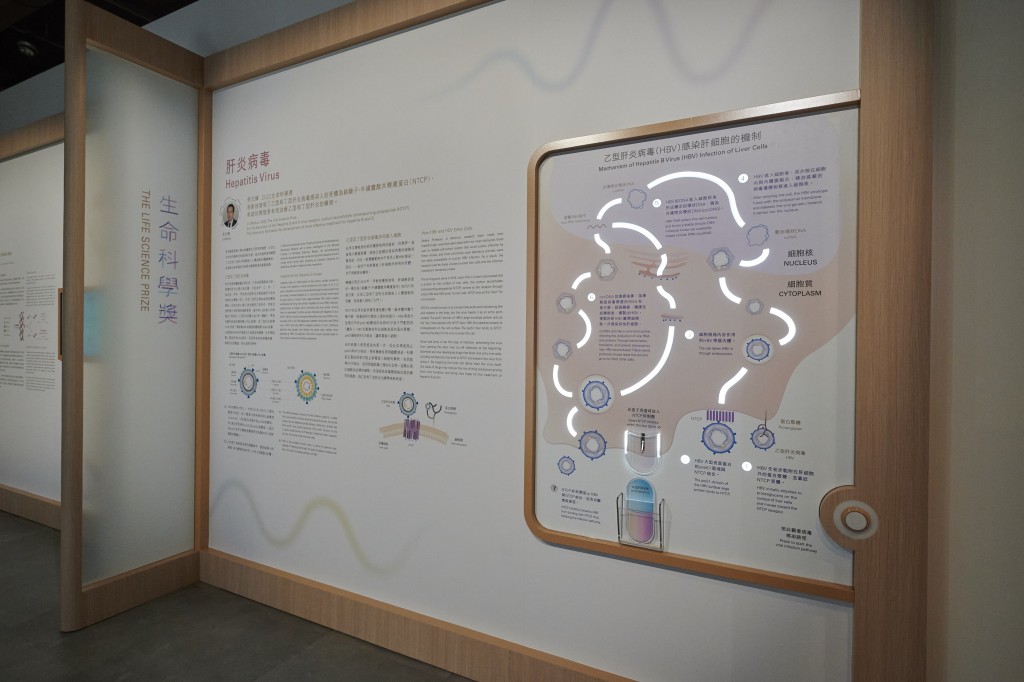 以2022年生命科學獎得主李文輝教授研發項目為主題的肝炎病毒互動展品。 以2022年生命科學獎得主李文輝教授研發項目為主題的肝炎病毒互動展品。