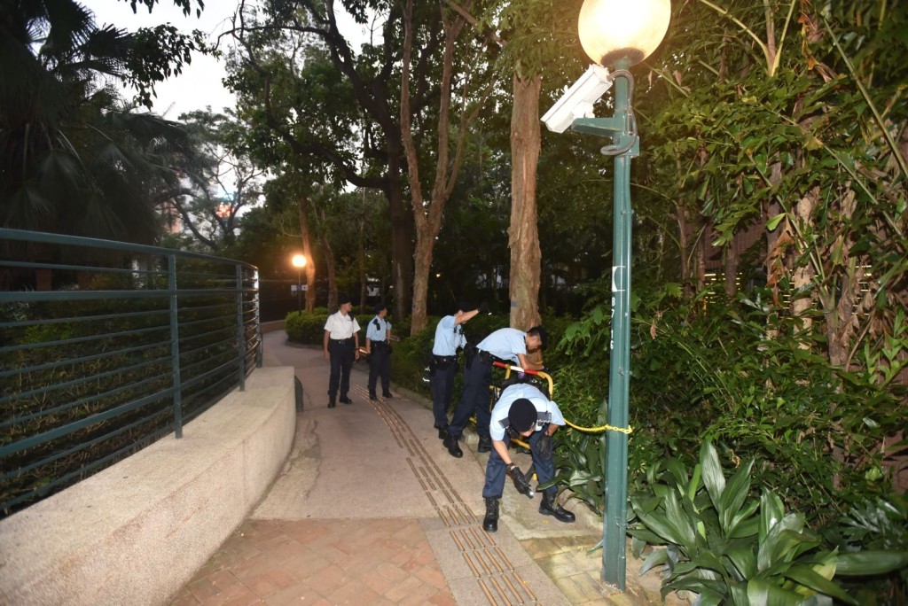 警方進行地毯式搜索。楊偉亨攝