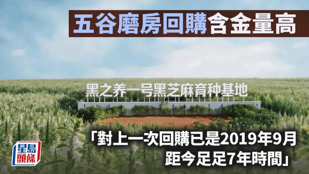 五谷磨房回購含金量高｜唐牛