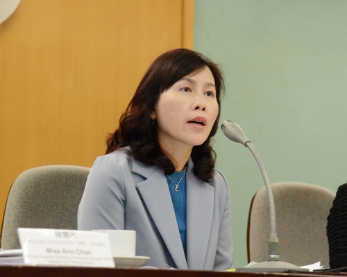 陳美寶指,高塔式智能停泊車系統將提供數十個泊位。資料圖片