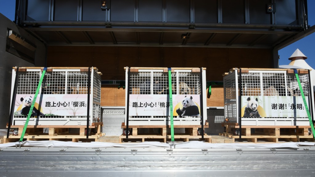 旅日大熊貓「永明、櫻浜、桃浜」在和歌山白浜町「冒險世界」裝車出發回家。 新華社