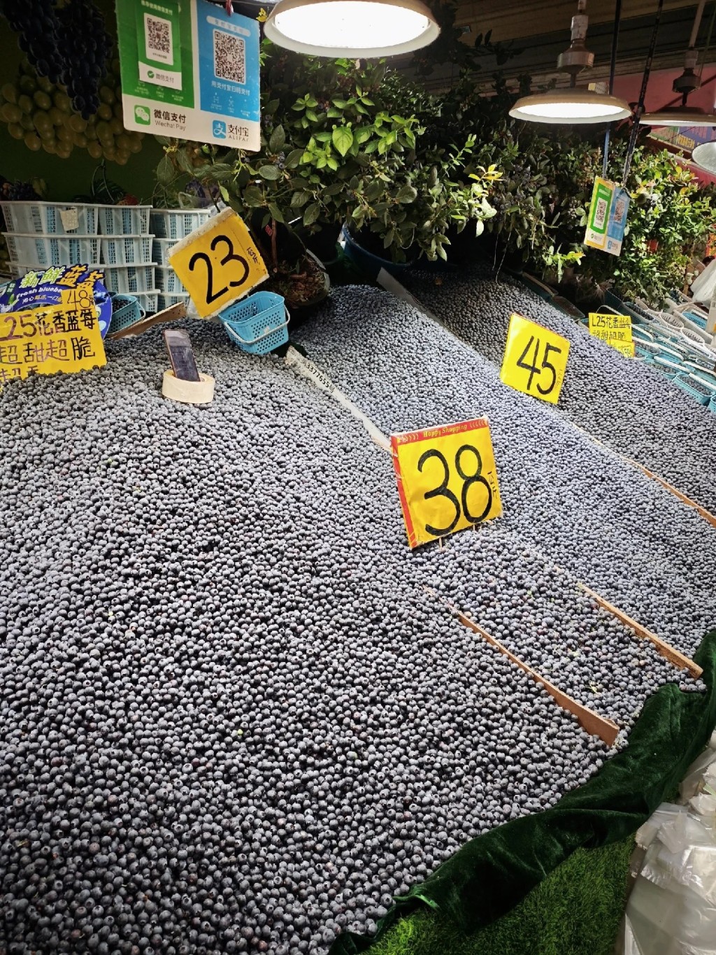 国产蓝莓涌入市场下，令蓝莓出现“白菜价”。小红书＠肉食动物饲养员